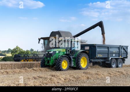 New Holland-Mähdrescher füllt den Anhänger mit Getreide, während er auf dem Weizenfeld neben dem Mähdrescher fährt. North Yorkshire, Großbritannien. Stockfoto