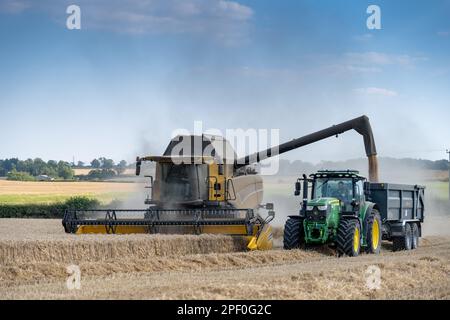 New Holland-Mähdrescher füllt den Anhänger mit Getreide, während er auf dem Weizenfeld neben dem Mähdrescher fährt. North Yorkshire, Großbritannien. Stockfoto