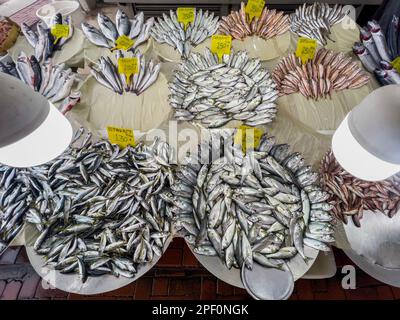 Frischer Fisch auf dem Markt in Istanbul. Preisschilder für Meeresfrüchte in türkischer Sprache. Blick von oben auf viele Seebarsche, Sardinen, Flunder, Meerbarben Stockfoto