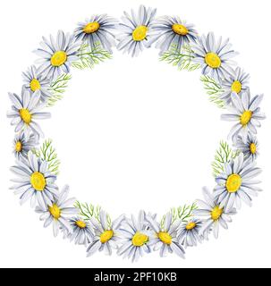 Kranz mit Gänseblümchen, Wildblumen, handgezeichnete Aquarelle, runder Rahmen, Spase für Text. Stockfoto
