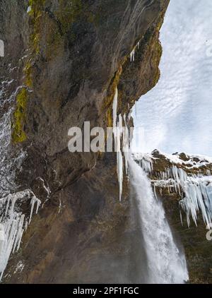 Der gefrorene Kvernufoss Wasserfall, mit Schnee und bläulichen Stalagmiten mit Wasser, das wie eine Höhle und ein wolkiger Himmel in Island von der Aussicht fällt Stockfoto