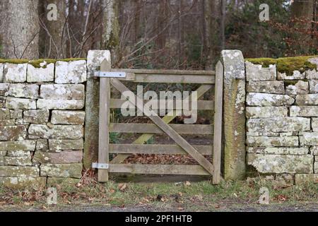 Holztor durch eine Trockenmauer in einen Wald Stockfoto