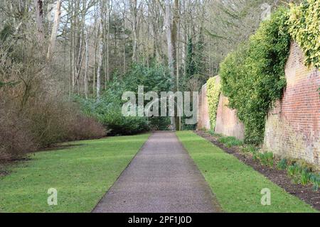 Pfad in einem ummauerten Garten umgeben von Rasen, bei Frühlingssonne Stockfoto