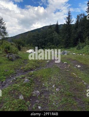 Der Pfad am Hang entlang des Berges zwischen den Steinen unter den Wolken führt in den Wald im Altai in Sibirien Stockfoto