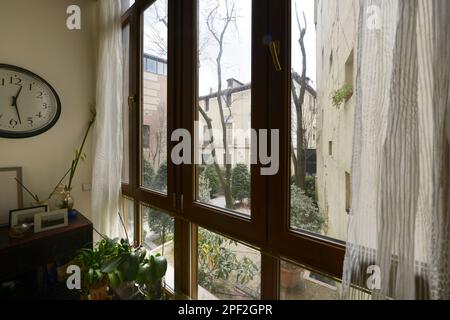 Ecke eines Wohnzimmers mit Zimmerpflanzen neben einem Fenster mit Aluminium und Glas mit Blick auf den Innengarten Stockfoto