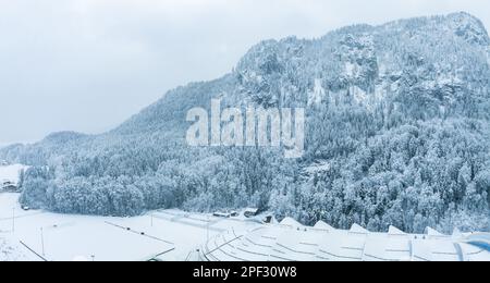Aerial image from the top of snowy mountain pines Stockfoto