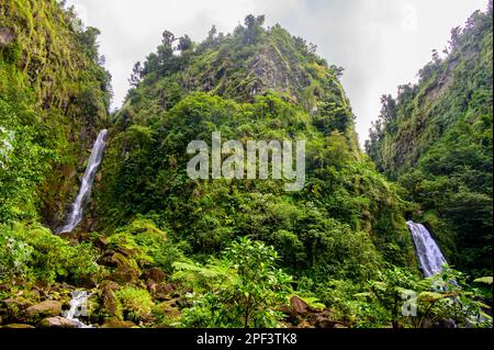 Atemberaubende Wasserfälle in Dominica, Trafalgar Falls, Karibik Stockfoto