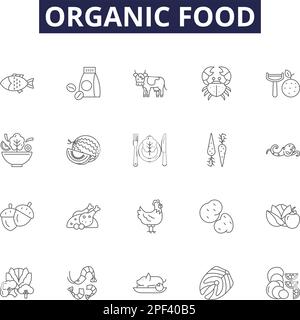 Vektorsymbole und -Schilder für organische Lebensmittel. Lebensmittel, Lebensmittel, Gemüse, Obst, Molkerei-, Fleisch-, Geflügel-Konturvektor-Zeichnungsset Stock Vektor