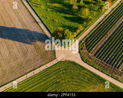 Luftaufnahme einer Kreuzung von Ackerland und Feldern im Herbst Stockfoto