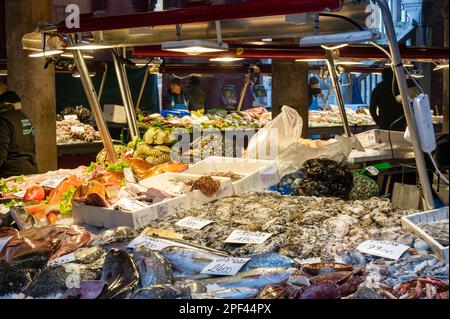 Venedig, Italien - 25. Februar 2023: Frischer Fisch auf dem Rialto Fischmarkt in Venedig, Italien Stockfoto