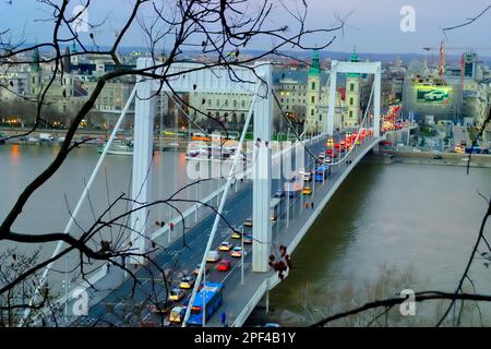 Erzsebet-BrErzsebet-Brücke in Budapest, Ungarn, Blick von den Hügeln, Abenddämmerung, Autos mit Scheinwerfern an, auf der Brücke Stockfoto