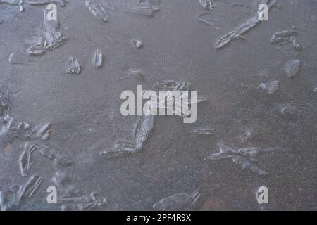 Gefrorene Wassermuster und -Strukturen aus einem kleinen gefrorenen Bach im Süden Frankreichs Stockfoto