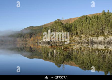 Blick auf das süßwasserloch mit Schottischen Pinienwäldern bei Sonnenaufgang im Nebel, Loch Beinn A' Mheadhoin, Glen Affric, Inverness-shire, Highlands, Schottland Stockfoto