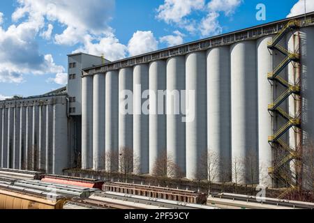 Kornsilos-Aufzug im blauen Himmelshintergrund. Ein landwirtschaftlicher Anlagenkomplex, der für die Lagerung ausgelegt ist. Hohe Betonstruktur. Produktionswerk für PROZESS Stockfoto