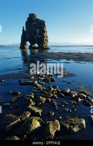 Hvitserkur, Vatnsens, Nordwest-Island, Island Stockfoto