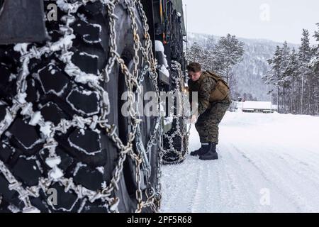 Setermoen, Troms, Norwegen. 3. März 2023. USA Joseph Machado, ein Kraftfahrzeugbetreiber des Combat Logistics Battalion 2, Combat Logistics Regiment 2, 2. Marchine Logistics Group, sichert Ketten an einem Fahrzeug während eines Kampffahrzeugbetreiberkurses in Setermoen, Norwegen, 2. März 2023. Marchines werden im Rahmen der „Marchine Rotational Forces Europe 23,1“ nach Norwegen entsandt, die sich auf regionale Einsätze in ganz Europa konzentriert, indem sie verschiedene Übungen, Schulungen für arktische Kälte- und Bergkriegsführung sowie Militär-zu-Militär-Einsätze durchführen, die die Interoperabilität insgesamt verbessern Stockfoto