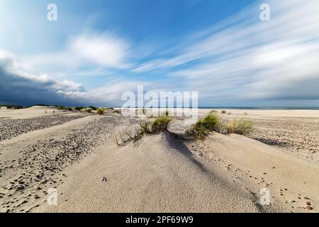 Breiter verlassener Ostseestrand bei sonnigem Wind, windbewegendes Gras und Sanddünen, Bewegungsspuren von Wolken durch lange Exposition, dunkle Wolken am Stockfoto