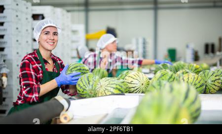 Fröhliche Frau, die Wassermelonen in der Fabrik sortiert Stockfoto