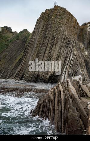 Blick auf steil geneigte Schichten von Flysch-geologischer Formation an der Atlantikküste bei Zumaia bei Ebbe, Baskenland, Spanien Stockfoto