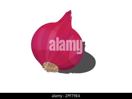 Ganze Zwiebel und geschnittene Zwiebel. Flaches, einfaches Design mit grünen Zwiebeln und roten Zwiebeln auf weißem Hintergrund. Stock Vektor