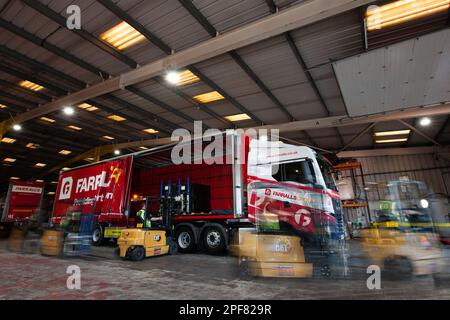 MAN-Lkw mit einem Anhänger mit Schiebeplanenaufbau, beladen mit einem Gabelstapler in einem Lager Stockfoto