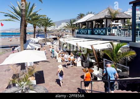 Papagayo Beach Club, Avenue Rafael Puig Lluvina, Playa de las Américas, Teneriffa, Kanarische Inseln, Königreich Spanien Stockfoto