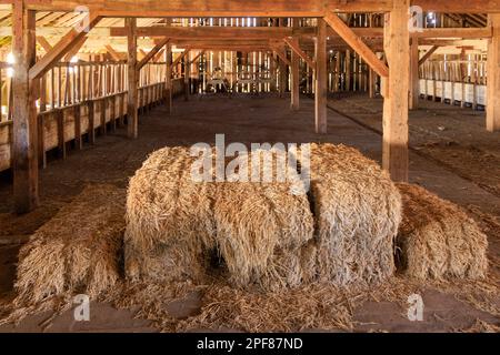 Heuballen in einer alten Holzscheune auf einer historischen Rinderfarm Stockfoto