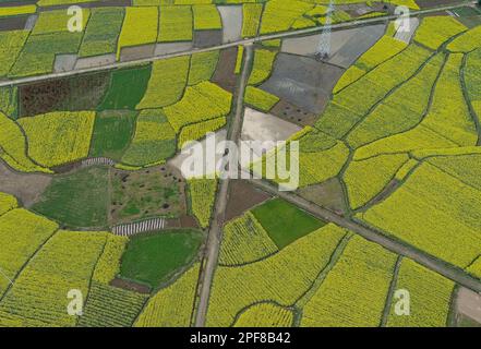 HANZHONG, CHINA - 16. MÄRZ 2023 - Luftfoto zeigt blühende Rapsblumen im Dorf Yueling, in der Stadt Xinji, im Viertel Nanzheng, in der Stadt Hanzhong, Nort Stockfoto