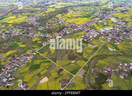 HANZHONG, CHINA - 16. MÄRZ 2023 - Luftfoto zeigt blühende Rapsblumen im Dorf Yueling, in der Stadt Xinji, im Viertel Nanzheng, in der Stadt Hanzhong, Nort Stockfoto