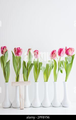 Frische pinkfarbene Tulpen in weißen Stielvasen auf weißem Hintergrund mit Kopierbereich Stockfoto