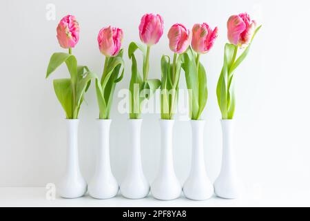 Frische pinkfarbene Tulpen in weißen Stielvasen auf weißem Hintergrund mit Kopierbereich Stockfoto