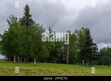 Fairbanks, Alaska, USA - 27. Juli 2011: University of Alaska. Rasen mit Bänken und grünen Bäumen auf dem Gelände rund um die Gebäude unter grauen Wolken Stockfoto