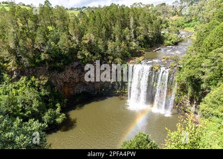 Dangar Falls im Oxley Wild Rivers National Park mit einem Regenbogen im Nebel Stockfoto