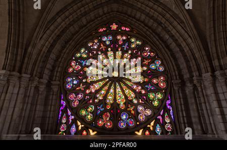 Vorderansicht eines mehrfarbigen Buntglasfensters in Form einer Rosette, umgeben von Steinsäulen vor einer Kirche Stockfoto