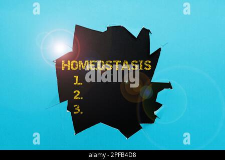 Text zeigt Inspirationshomöostase. Geschäftsansatz die Tendenz zu einem Gleichgewicht zwischen voneinander abhängigen Elementen Stockfoto