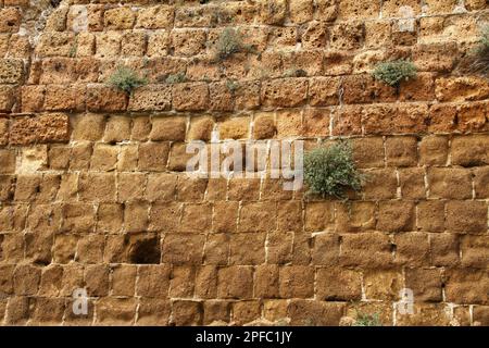 Nahaufnahme der mächtigen Mauer aus vulkanischem Kalkstein der Rocca Aldobrandeschi, Festung von Sovana (11. Bis 13. Jahrhundert) Provinz Grosseto, Toskana, Stockfoto