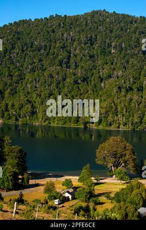 Correntoso Lake aus Sicht der Ruta 40, Ruta de Los Siete Lagos, Route of Seven Lakes, Neuquén, Argentinien Stockfoto