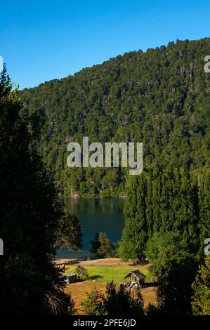 Correntoso Lake aus Sicht der Ruta 40, Ruta de Los Siete Lagos, Route of Seven Lakes, Neuquén, Argentinien Stockfoto