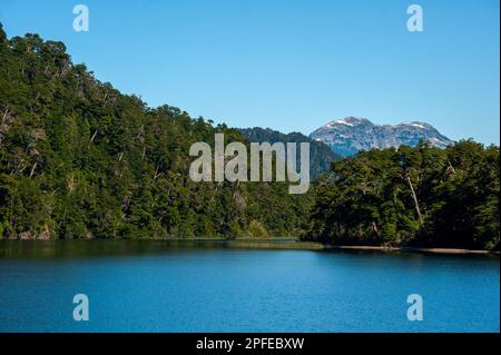 Correntoso Lake aus Sicht von Camping 7 Lagos, Ruta de Los Siete Lagos, Route of Seven Lakes, Neuquén, Argentinien Stockfoto