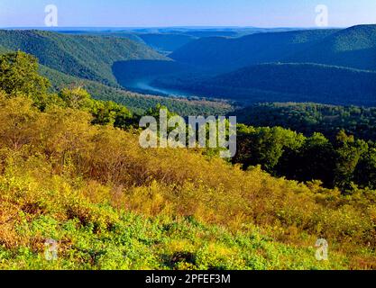 Der Blick vom Hyner View State Park auf die West Branch Wilderness in Clinton County, Pennsylvania Stockfoto