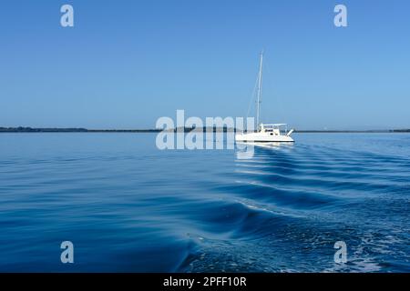 Wellen von der Waschanlage hinter einem Boot führen das Auge zu einem einzigen weißen Boot auf dem ruhigen, blauen Wasser vor der Küste zur Insel Coochiemudlo Stockfoto