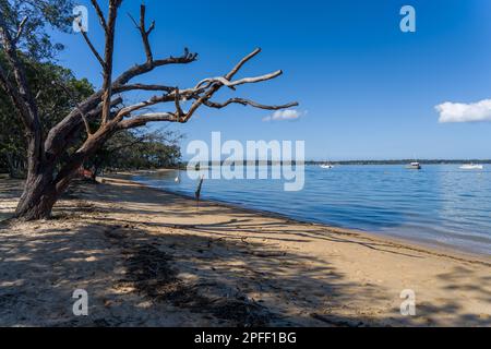 Blick vom Hauptstrand auf Coochiemudlo Island über das ruhige Wasser der südlichen Moreton Bay nach Macleay Island in der Ferne Stockfoto