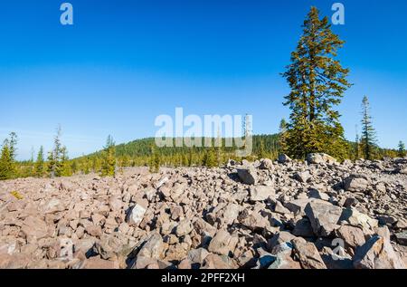 Lassen Volcanic National Park in Kalifornien Stockfoto