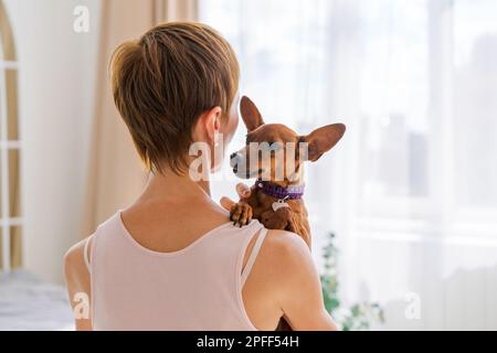 Eine Frau umarmt einen süßen kleinen Hund, der zu Hause in ihren Armen liegt. Nahaufnahme. Vertrauen und Ruhe, Fürsorge, Freundschaft und Liebe. Glückliche, gemütliche Momente des Lebens. "Bleib zu Hause" -Konzept, Mitglied der Tierfamilie Stockfoto
