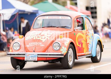 Laredo, Texas, USA - 19. Februar 2022: The Anheuser-Busch Washingtons Geburtstagsparade, Classic Vehicle Volkswagen Beetle Stockfoto
