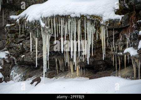 Wassertropfen, die vom Dach schmelzen, fallen auf Schnee und Eiszapfen neben Stein im Frühling. Eiszapfen und ein Wasserstrahl auf dem gefrorenen Wasserfall. Stockfoto
