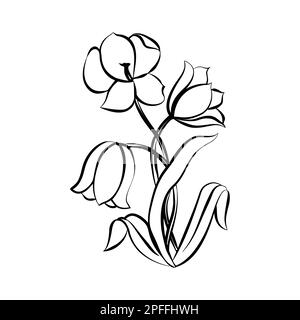 Blume Tulpe. Schwarz auf weißem Hintergrund, Vektor-illustration Stock Vektor