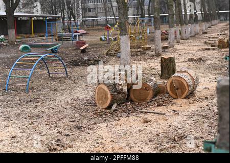 Baumstämme auf dem Spielplatz. Eine Reihe von Stümpfen. Stockfoto