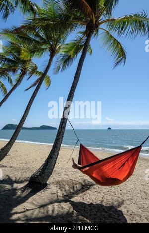 Entspannen Sie sich in einer Hängematte zwischen Kokospalmen in Palm Cove, Queensland, Australien Stockfoto