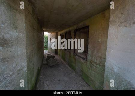 Überlebender Bunker an der Pointe du Hoc. Küste der Normandie, zwischen Utah Beach und Omaha Beach (Landungen der Normandie aus dem Zweiten Weltkrieg). Die Normandie. Frankreich. Stockfoto